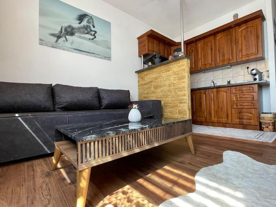 Byt V Centre Mesta Snina Dış mekan fotoğraf