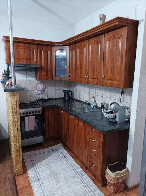 Byt V Centre Mesta Snina Dış mekan fotoğraf